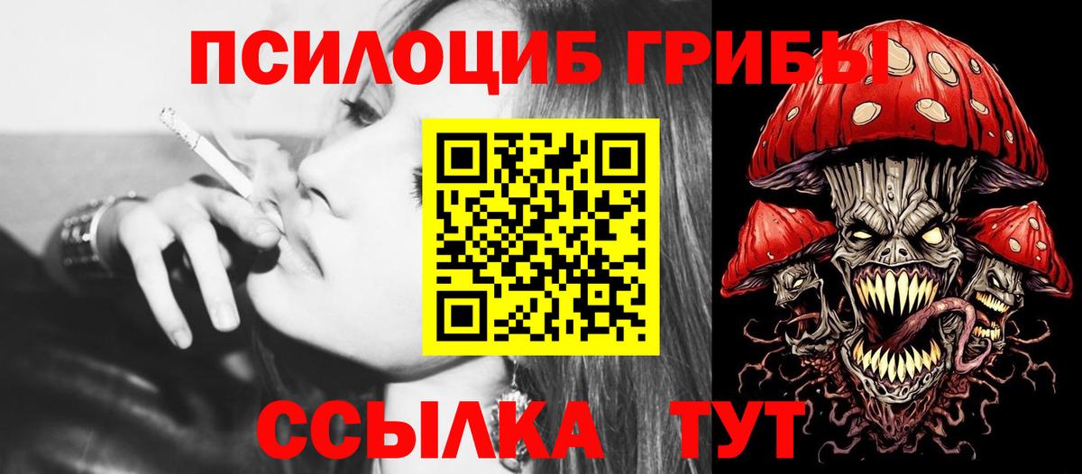 Псилоцибиновые грибы Psilocybine cubensis  Галлюциногенные грибы мухоморы  Вход с VPN  Саки 