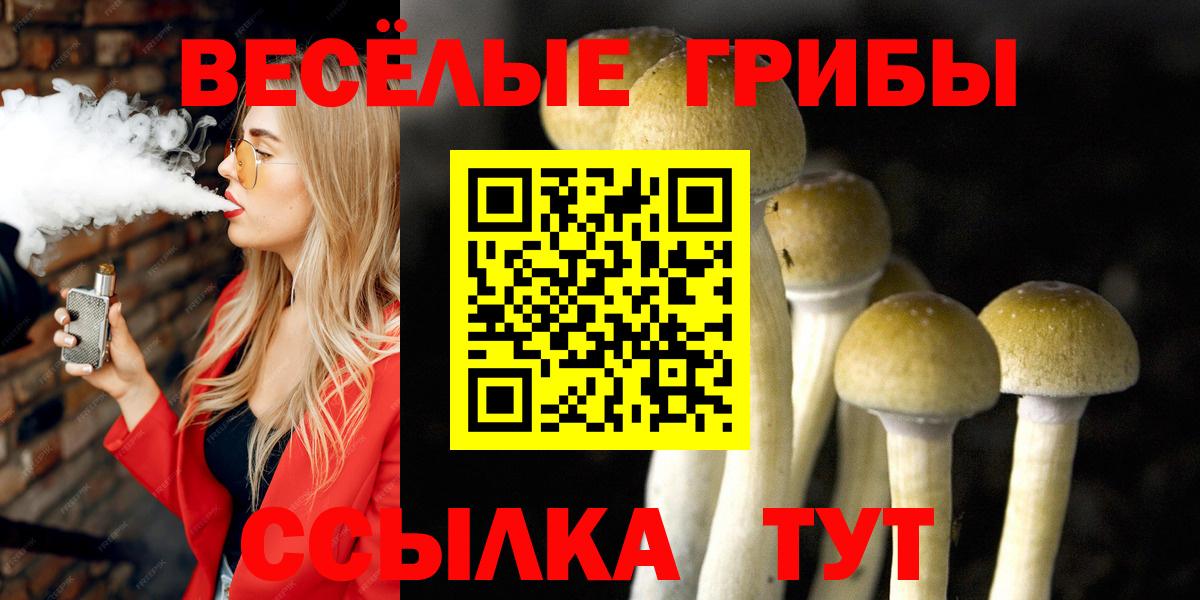 Галлюциногенные грибы Psilocybine cubensis Саки